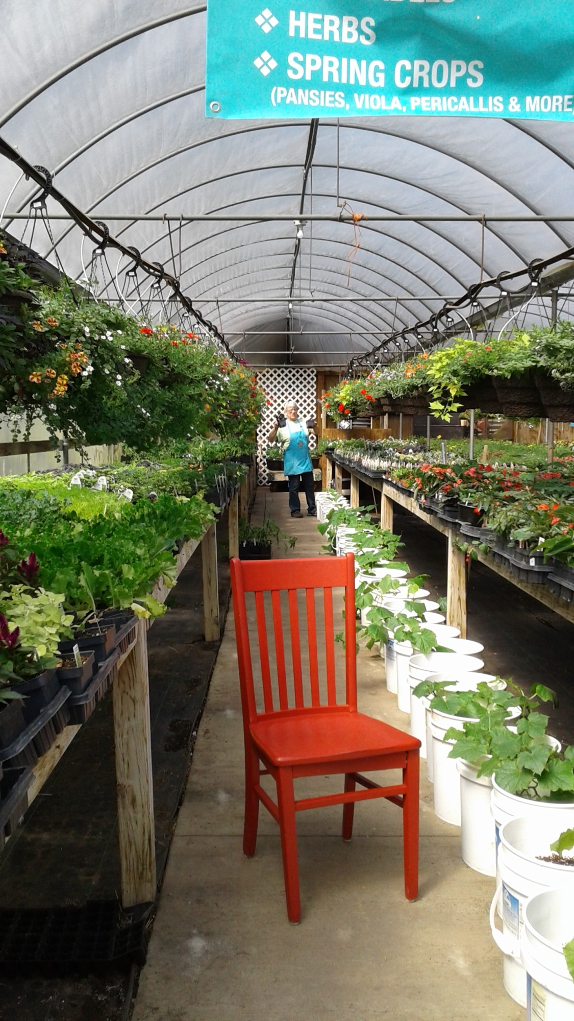 Turners' Farm Market Open Now Crystal River Inn